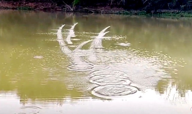 官方回应15岁少年打水漂破吉尼斯世界纪录_腾讯新闻