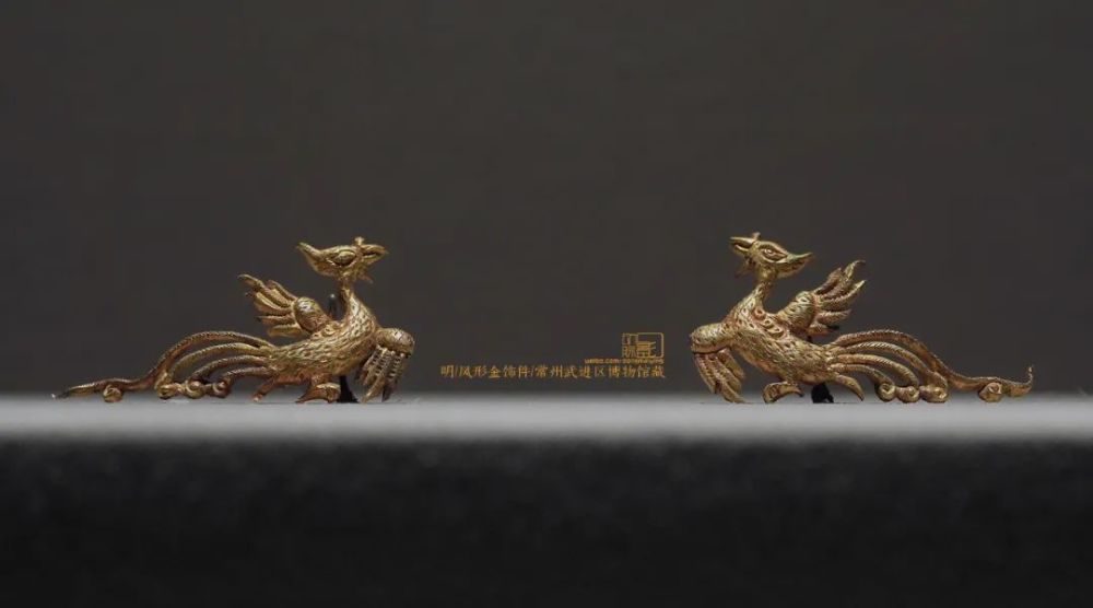 真有凤凰这种鸟?讲讲凤形象极简史_腾讯新闻