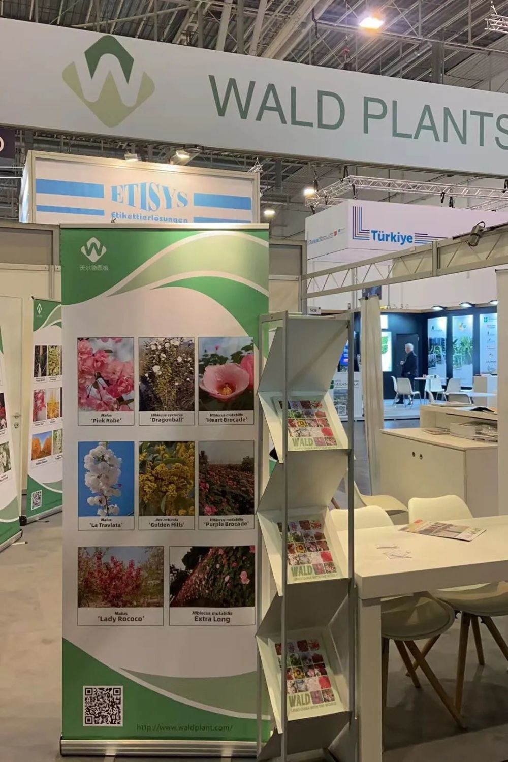 三个成都品种惊艳埃森国际花卉园艺展!_腾讯新闻