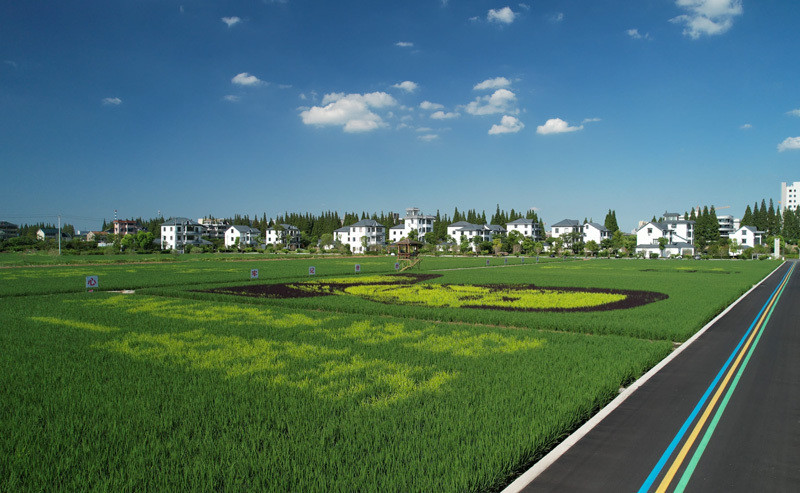 浙江钱塘河庄:做好"田与城"文章 绘就乡村振兴新画卷_腾讯新闻