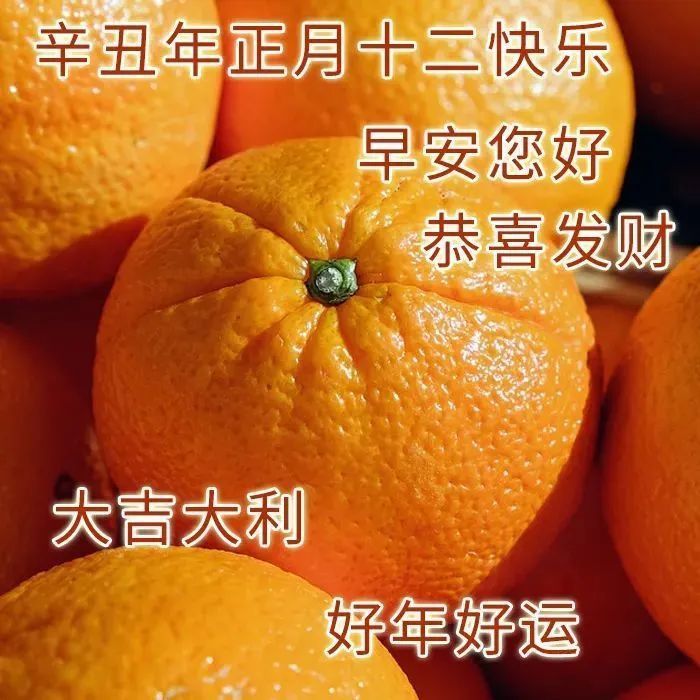 祝老板2023年发大财的句子(祝老板2023年发大财的句子表情包)