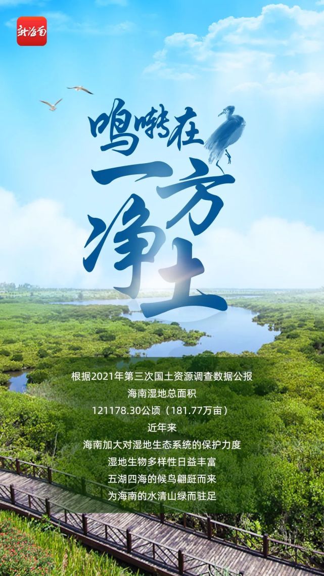 百鸟鸣啭,在海南这一方净土-腾讯新闻