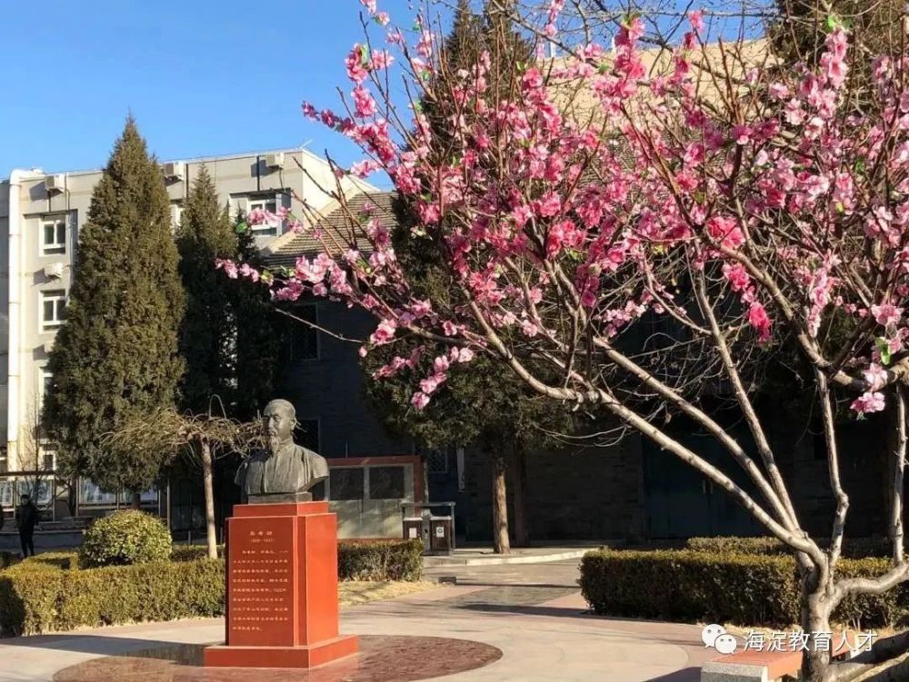 立新学校幼儿园官网_北京市立新学校_北京立新学校小学部