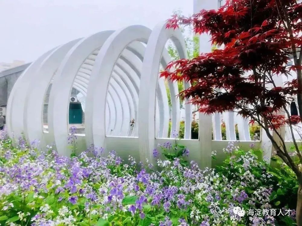 立新學校幼兒園官網_北京立新學校小學部_北京市立新學校