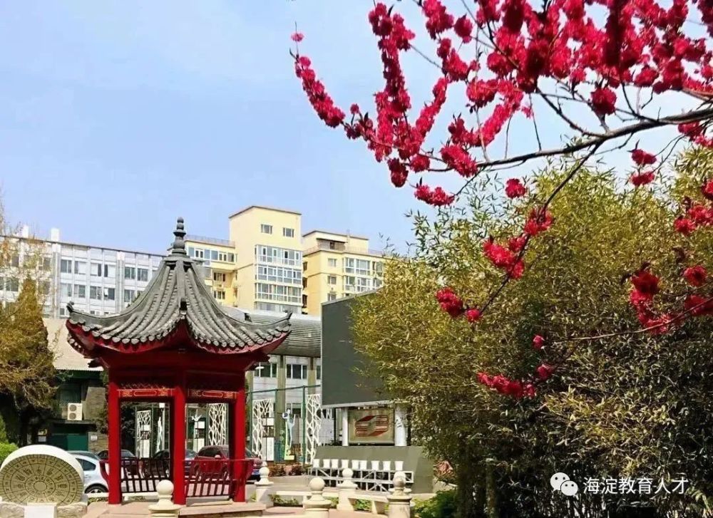 北京立新學校小學部_北京市立新學校_立新學校幼兒園官網