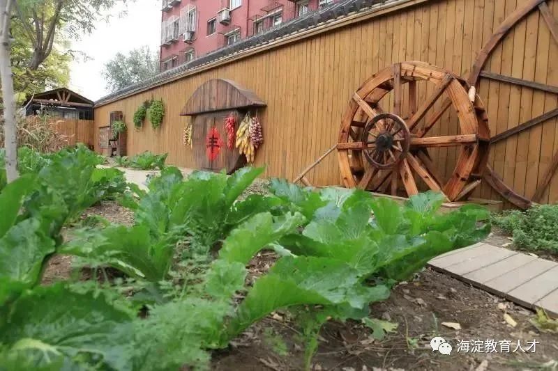 立新學校幼兒園官網_北京立新學校小學部_北京市立新學校