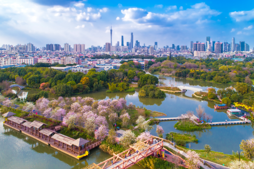 广州海珠湿地公园景点图片