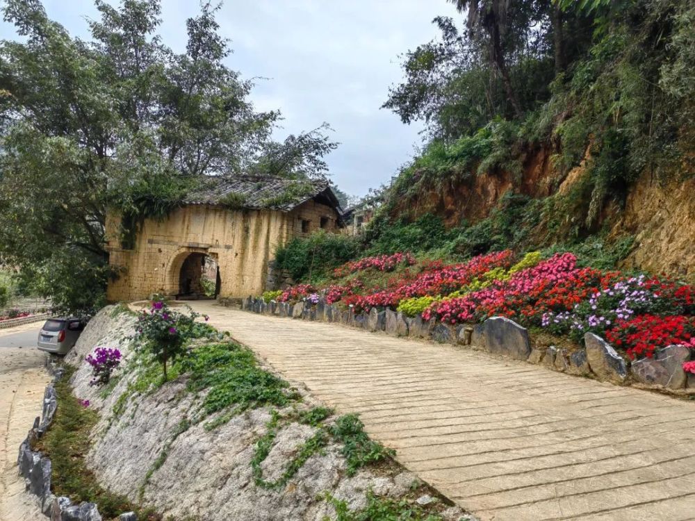 绿美文山丨马关县着力打造"绿美 生态"新样板_腾讯新闻