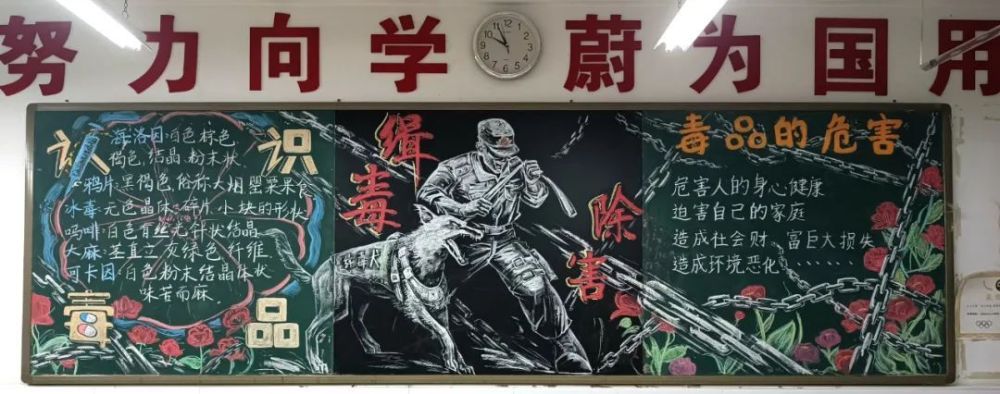 深圳市中小学禁毒主题黑板报作品征集活动评审结果公示_腾讯新闻