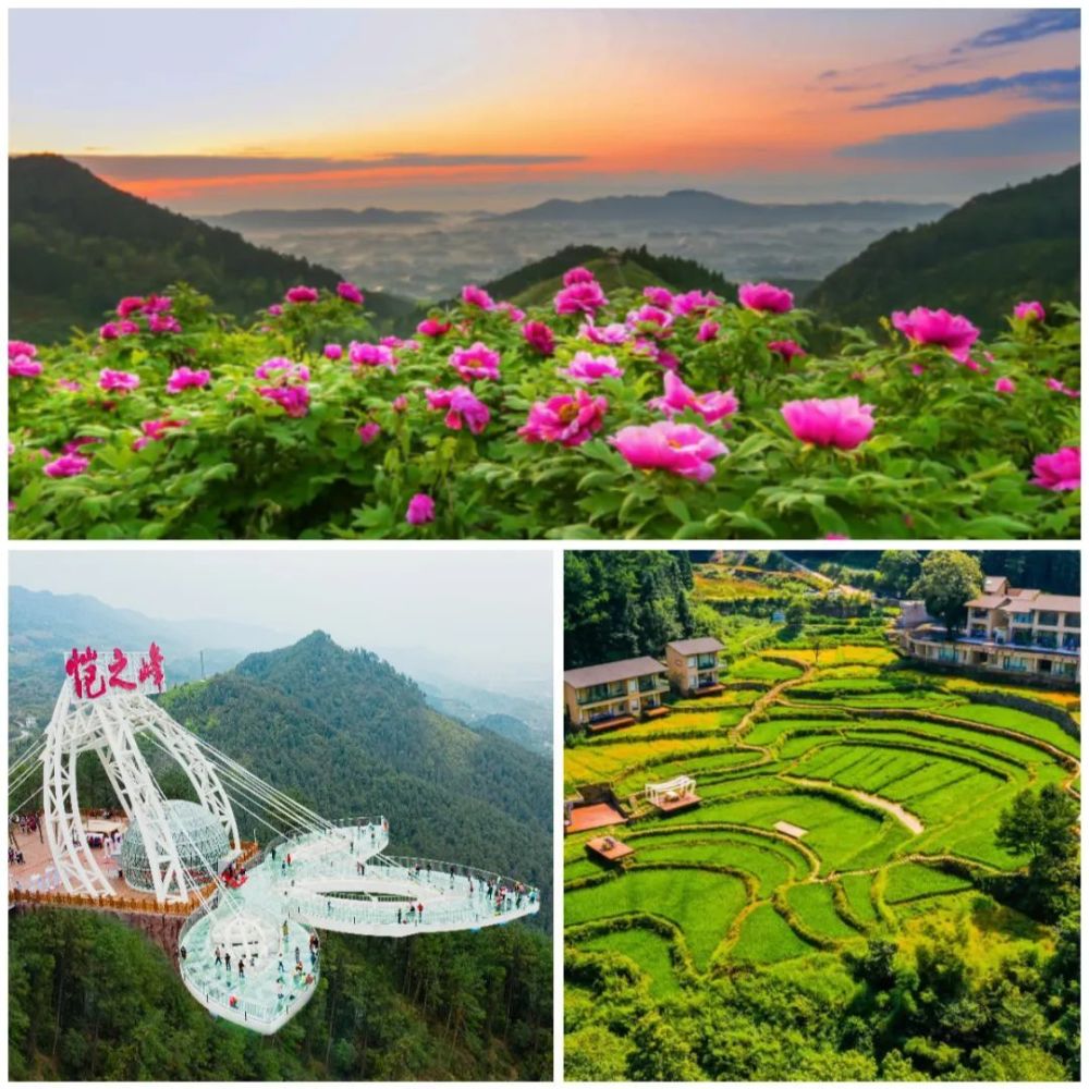 宿集,明月竹乡,峰门铺由恺之峰旅游区,华夏牡丹园占地面积约8.