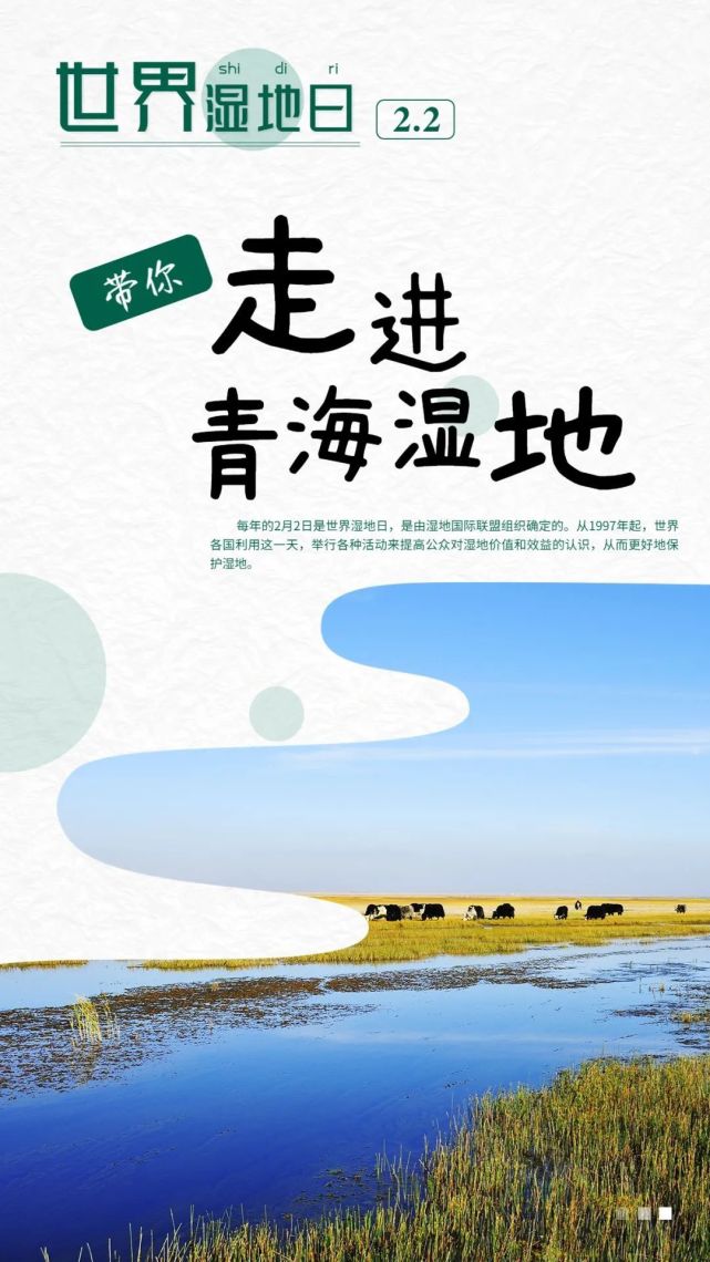 海报今天是世界湿地日带你走进青海湿地