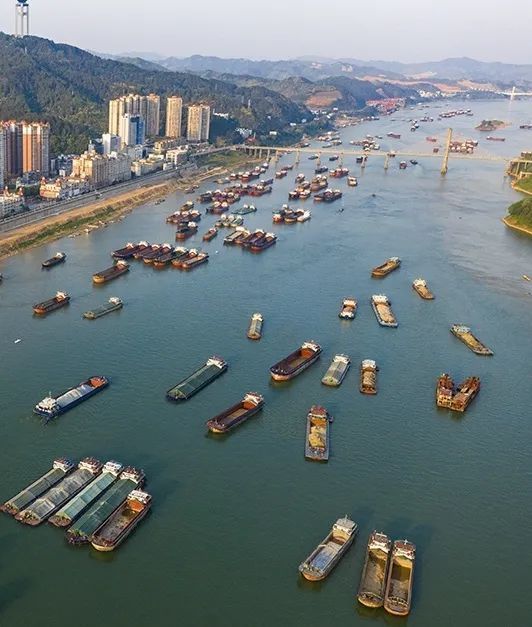 媒体看梧州真靓人民日报刊发梧州西江黄金水道繁忙景象