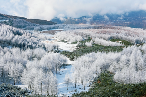 美姑县黄茅埂索玛花景区被评为国家3a级旅游景区
