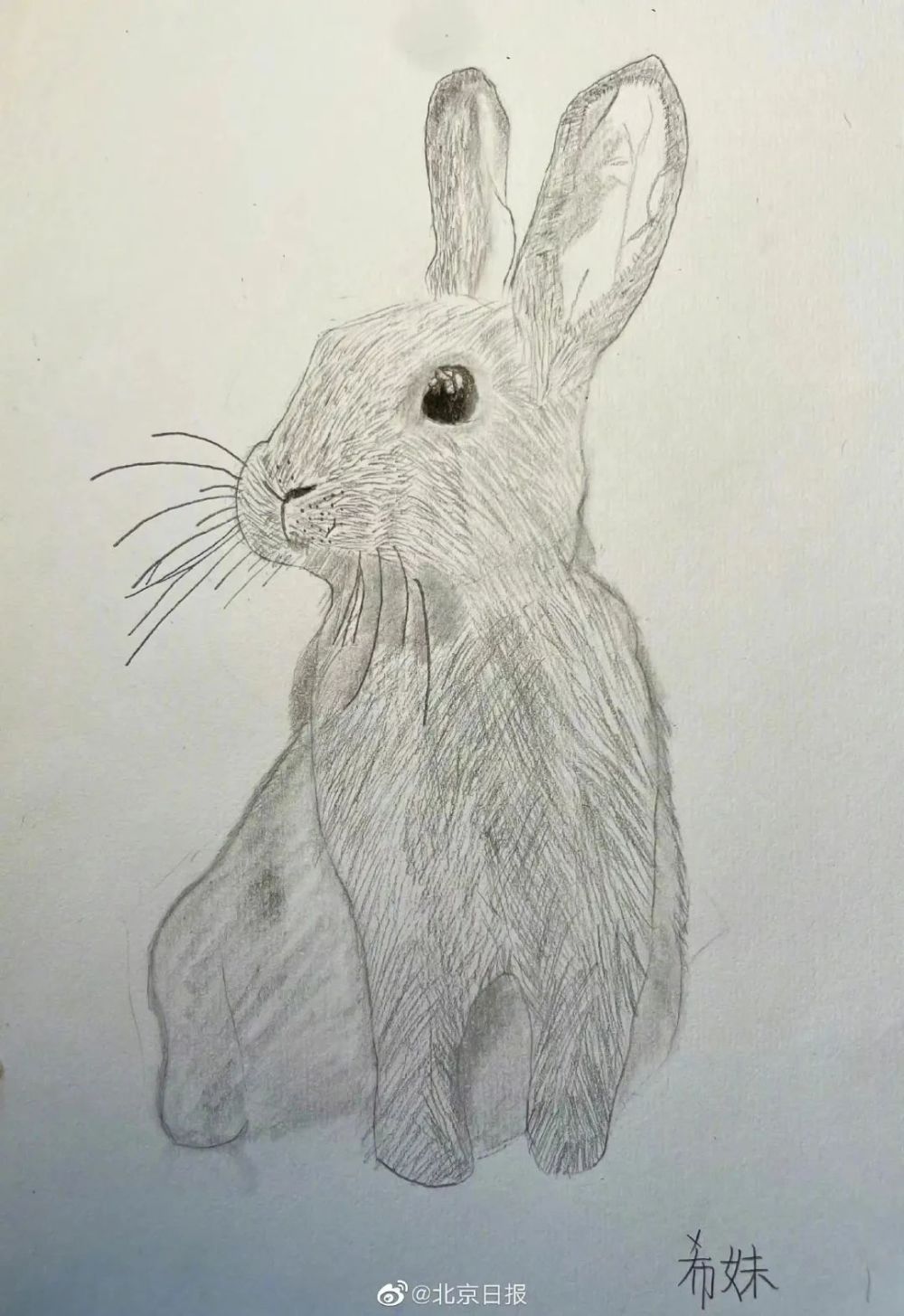 每一幅画都是美好的祝愿展示兔子的n种画法