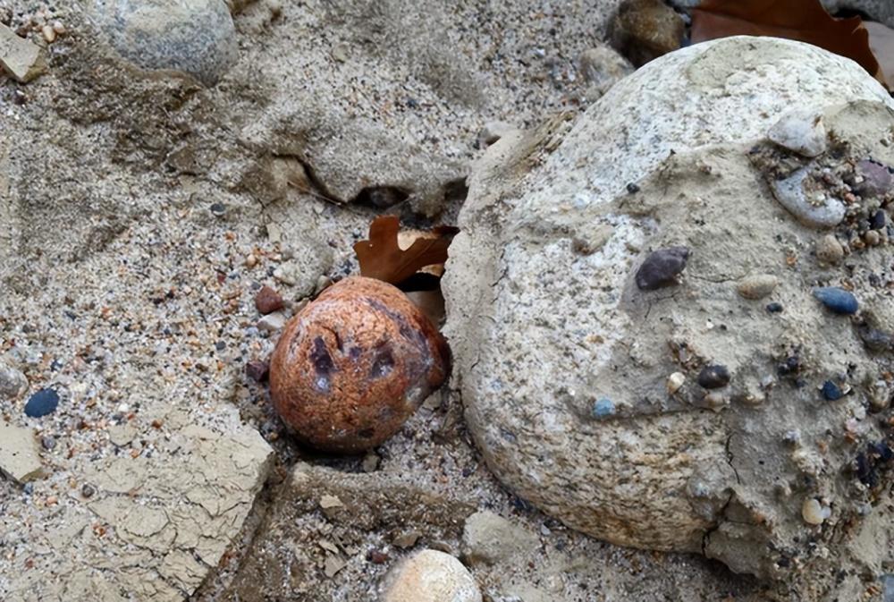 去沙漠旅行看到这种"土疙瘩"该不该捡?导游:捡起来就发财了_腾讯新闻