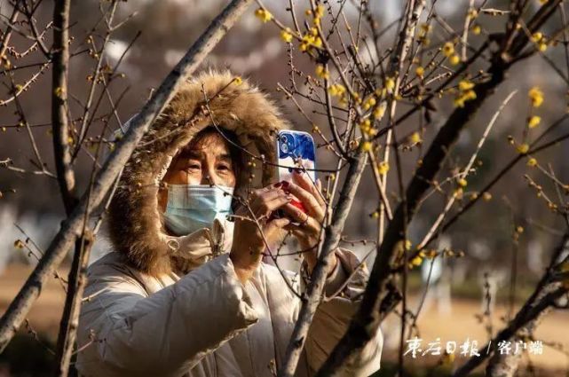 摄影 邵磊来源:枣庄日报客户端