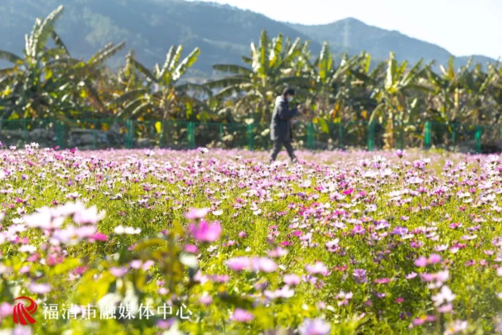 惊艳福清这里美出新高度