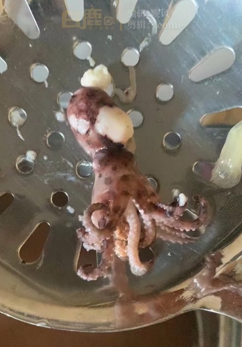 女子称在海鲜市场买到蓝环章鱼,当事人:煮熟捞起时才发现不对,最后将