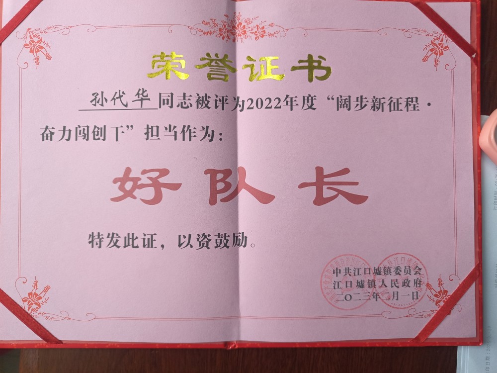 中国人寿麻阳支公司乡村振兴驻村干部孙代华被评为担当作为"好队长"
