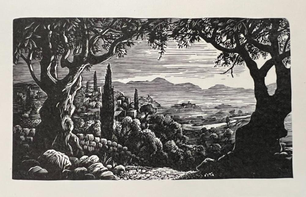 最让我动心的,或者说最后让我下决心的,不仅是阿罡兄所言"很难想象