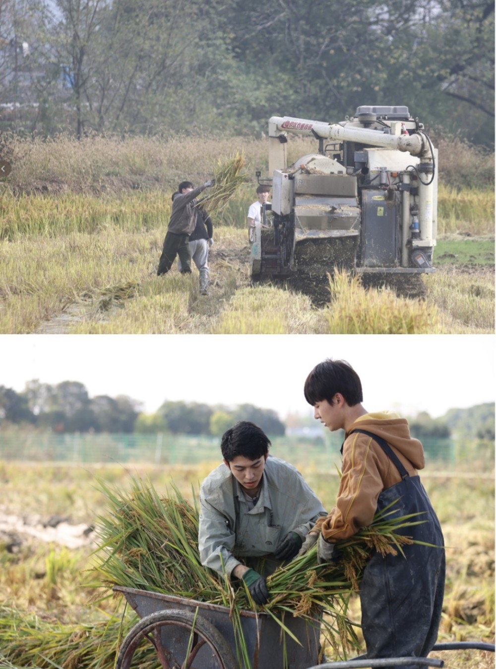 “相信土地的力量”——爱奇艺劳作纪实节目《种地吧》线上研讨会成功举办