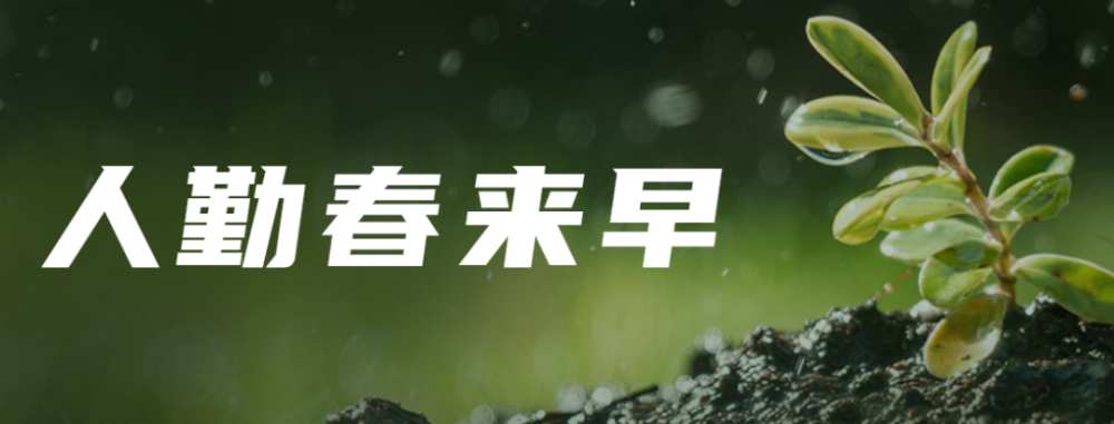 【人勤春来早】"冬闲"变"冬忙" 奋斗创未来_腾讯新闻