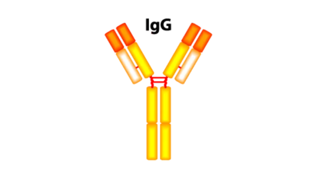 最近多地都在进行的"新冠抗体检测"是要做啥_腾讯新闻