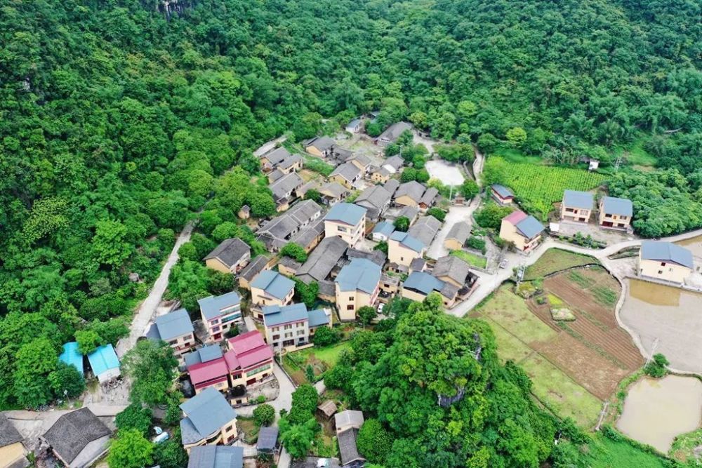 新春走基层丨浮石镇:工业山水相伴 生态与经济齐头并进_腾讯新闻