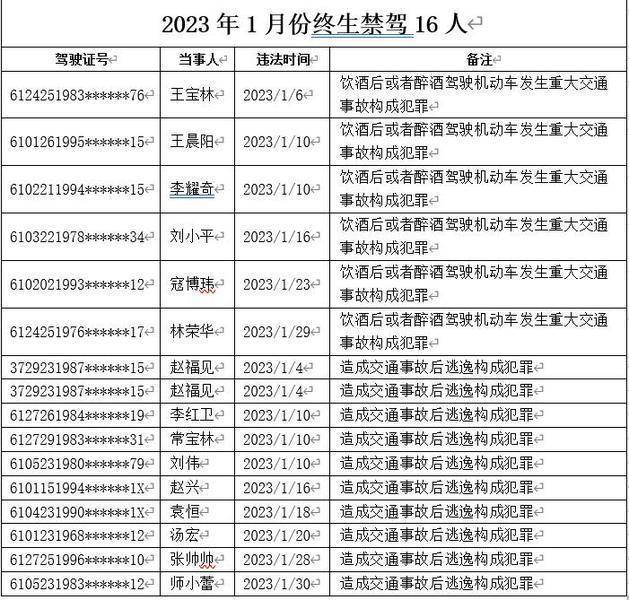 陕西终身禁驾名单查询图片