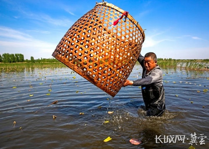 内行看门道丨杨越峦:《白洋淀渔猎文化·组图》展现独特的文化记忆