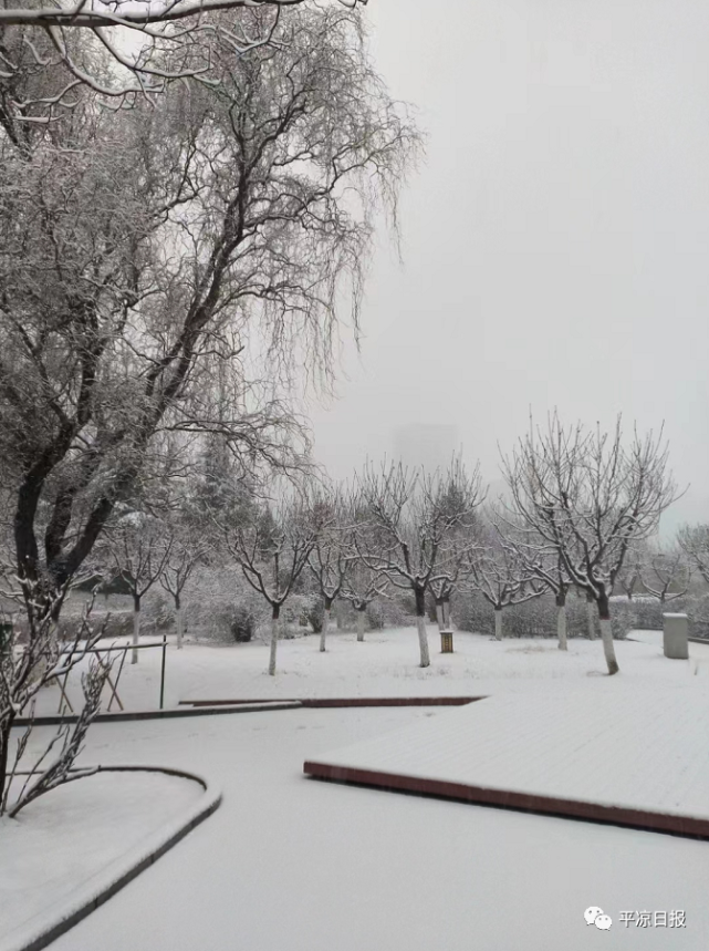 朋友圈的雪景先睹为快
