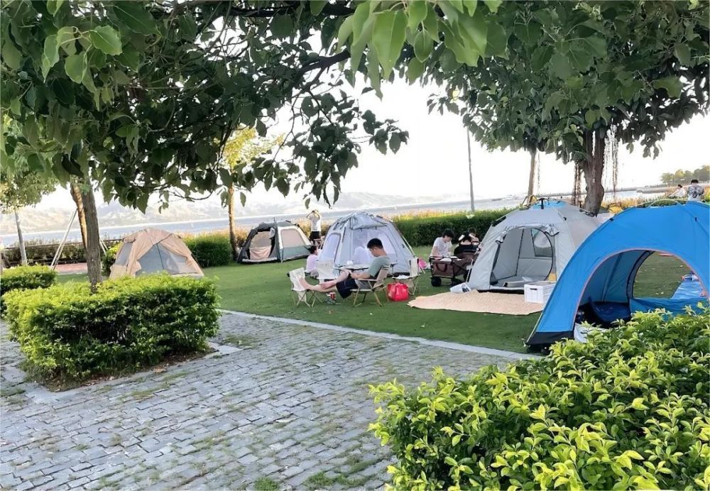 南山区这3个公园可搭帐篷啦_腾讯新闻