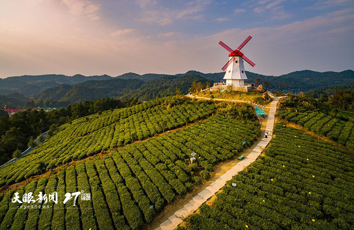 瓮安县建中镇茶旅融合春光好