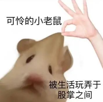 并在网络上贡献了大量"鼠鼠"表情包来表达自己被生活摧残后的状态与