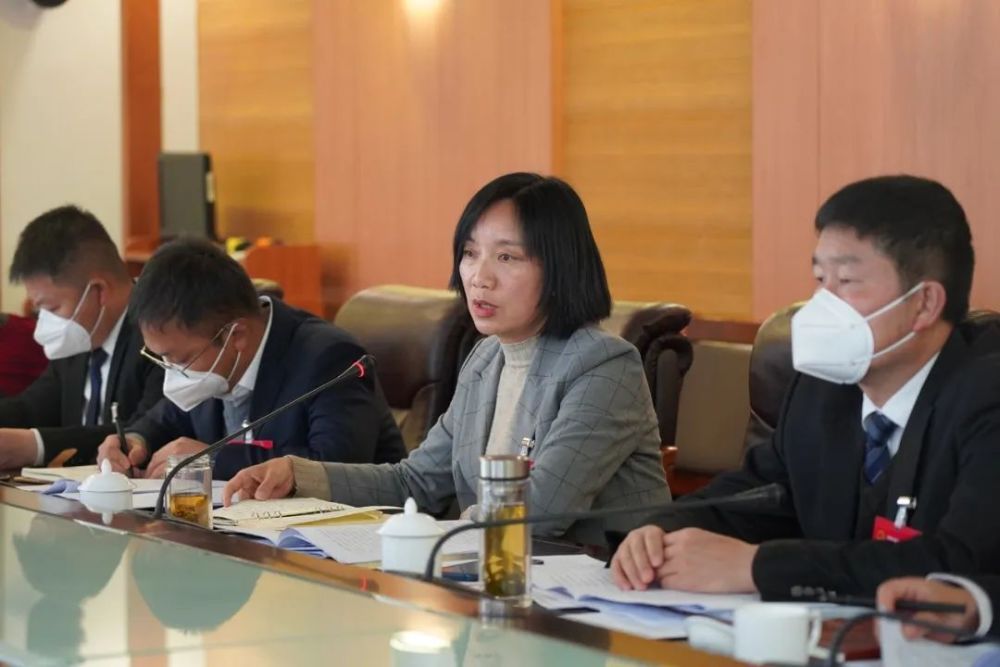 王梅芬参加海东镇,挖色镇代表团审议审查政府工作报告及其他报告_腾讯