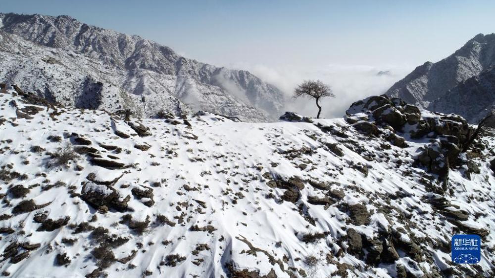 2月9日在寧夏賀蘭山蘇峪口國家森林公園拍攝的雪後賀蘭山(無人機照片)