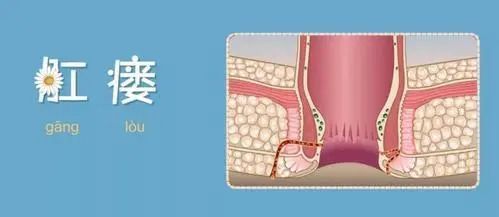 腾讯网