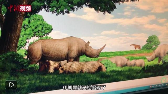 中国科学家研究发现：非洲黑犀和伊朗犀起源于甘肃临夏盆地