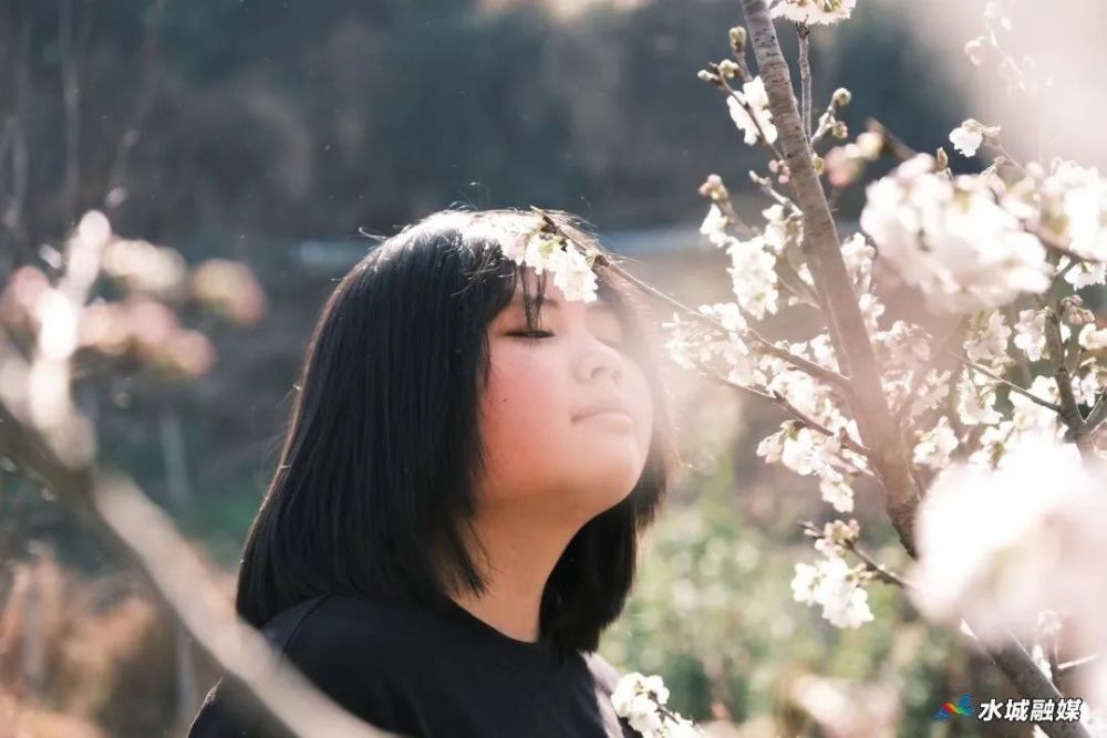 万亩樱桃花海已上线！快来这里打卡