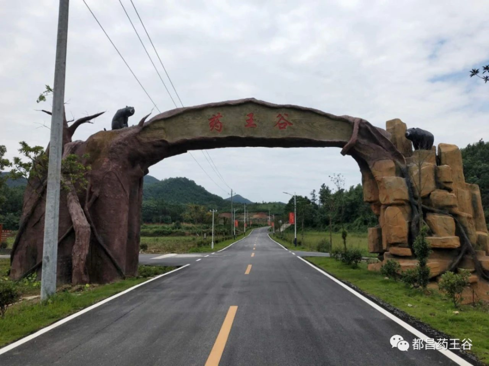 都昌县药王谷近年来,芙蓉墩镇湖西村大力推动乡村振兴,结合许家坝许氏