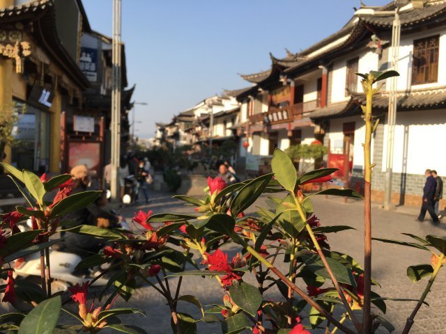 花团锦簇玉溪通海古城春意浓