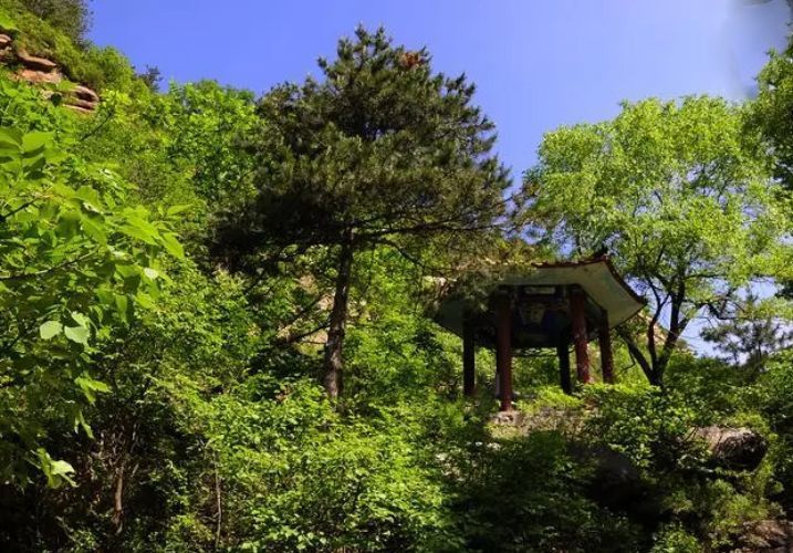 松山森林公園是松山自然保護區松山森林旅遊區的一部分.