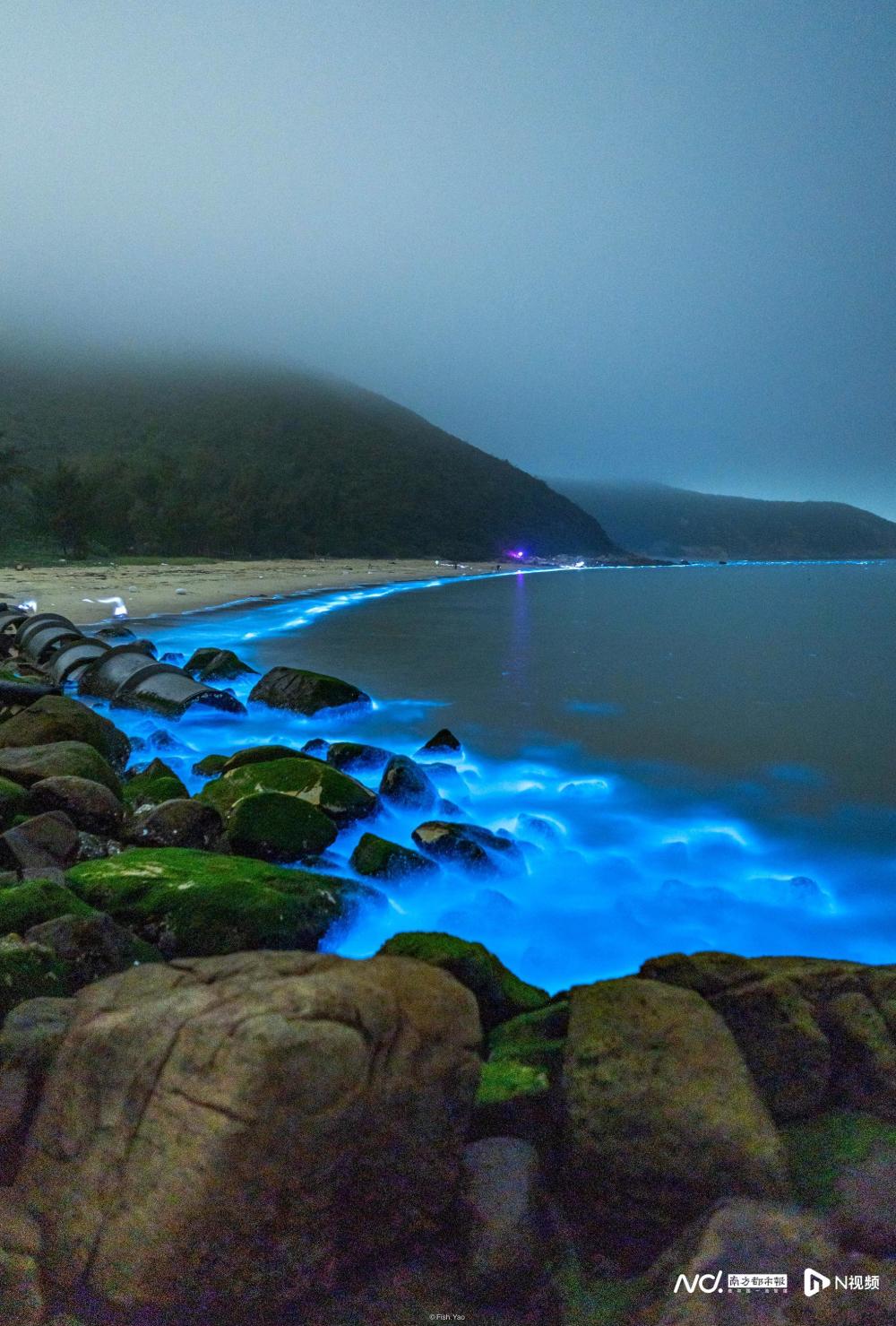 实拍:广东珠海海水现蓝荧光,夜光藻赤潮似繁星入海