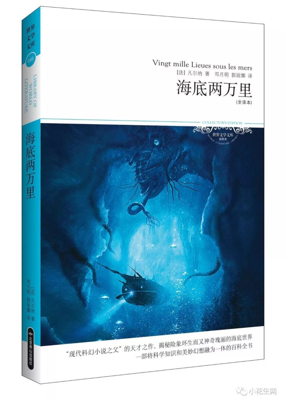 不要告诉别人（巴黎圣母院故事梗概）巴黎圣母院1000字故事梗概 第10张