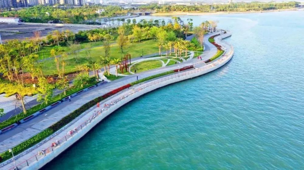 站在深圳湾远眺,环西丽湖碧道,大沙河生态长廊,深圳人才公园,深圳湾