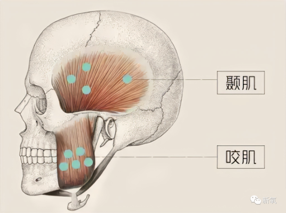 爱在春日比斯特，与Venchi闻绮浪漫开“绮”网课真的有效果吗?2023已更新(新华网/微博)