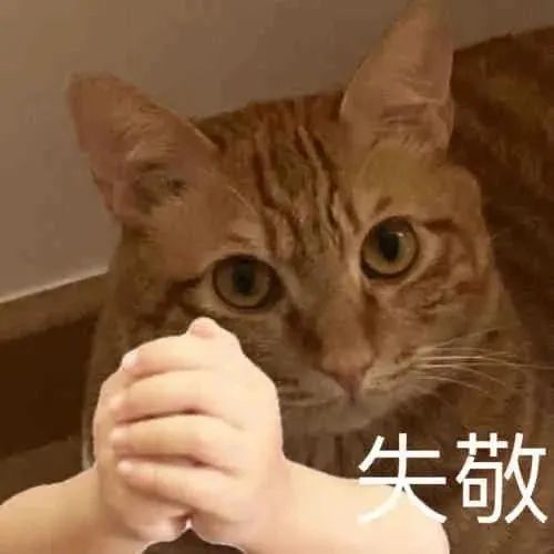 中国最长寿熊猫突然去世，享年25岁英语鲁科版五年级上册课本