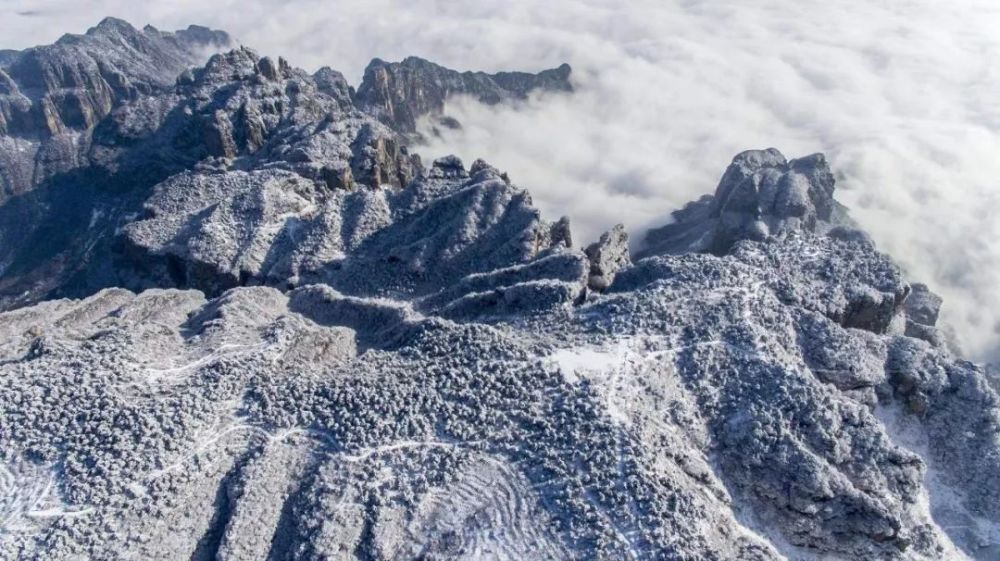 王莽岭雪景图片