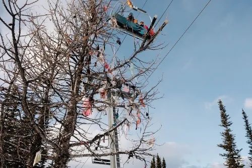 為什麼美國滑雪場的樹上總掛滿了胸罩