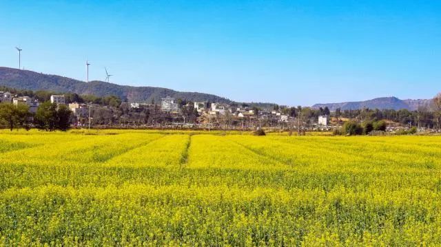 推動鄉村變景點,田園變生態風光,全力打造馬龍區有影響力的鄉村振興